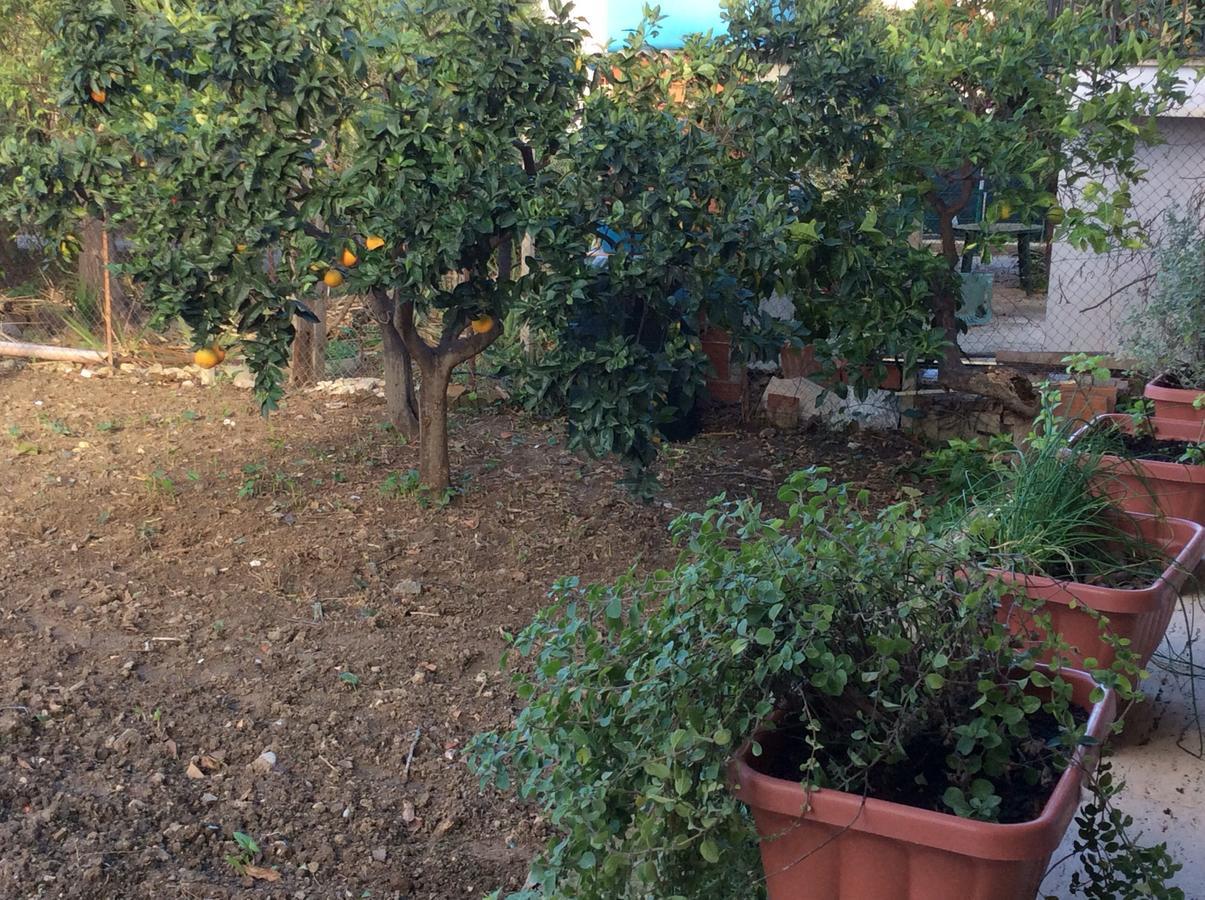 Ifioridisicilia Bed & Breakfast Campofelice Di Roccella Luaran gambar