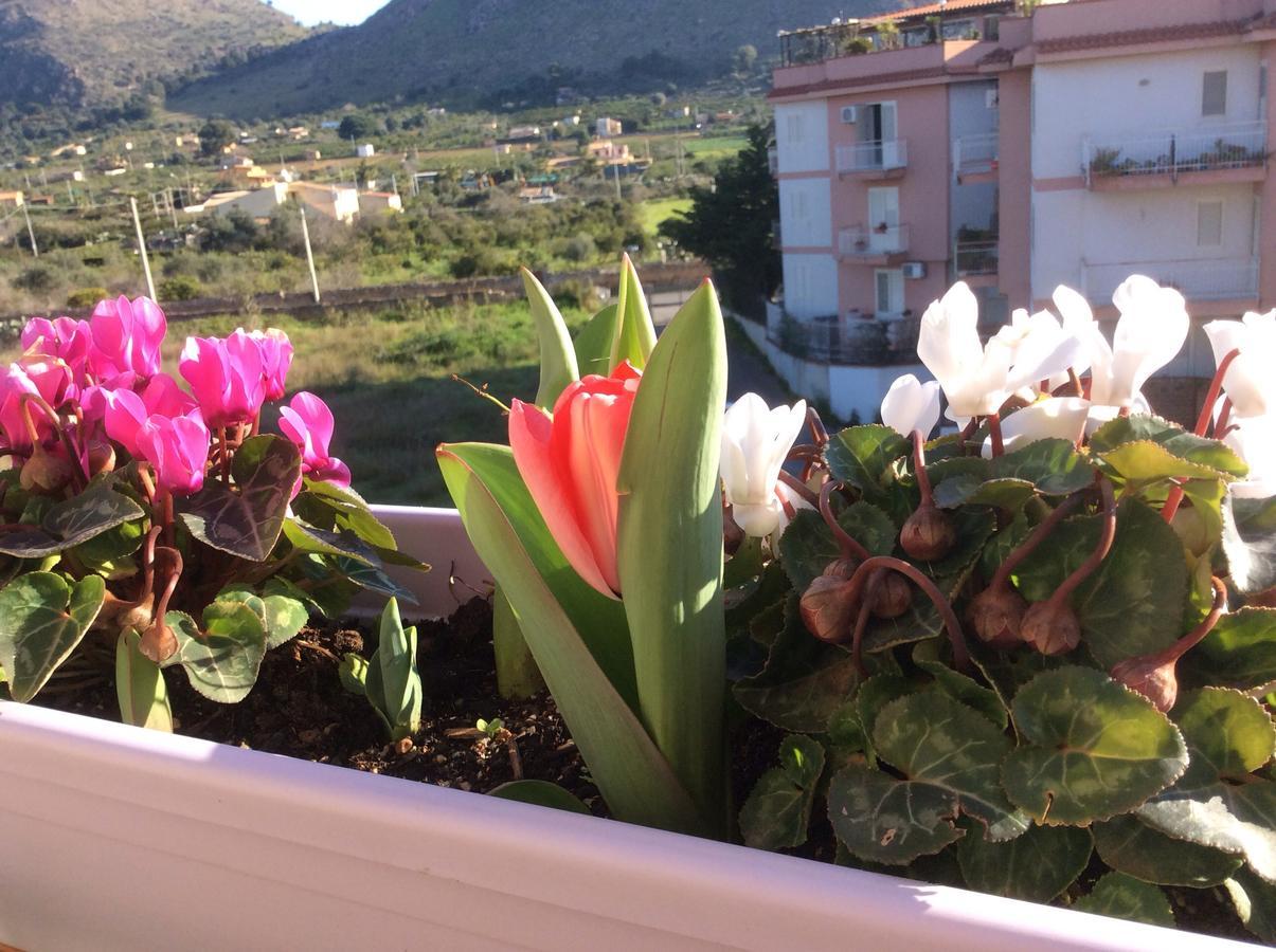 Ifioridisicilia Bed & Breakfast Campofelice Di Roccella Luaran gambar